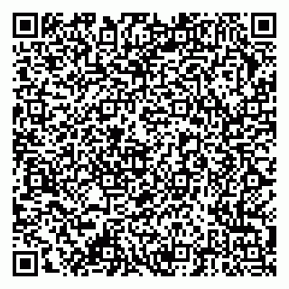 vCard 79378004433