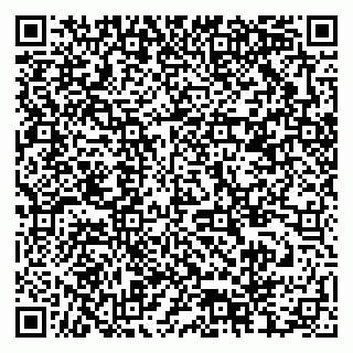 vCard 79378004527