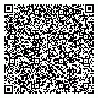 vCard 79378004529