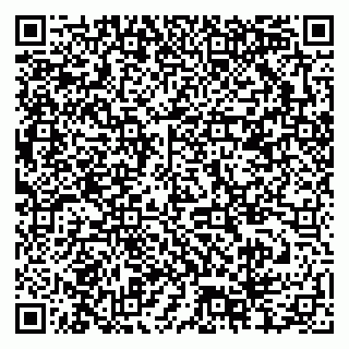 vCard 79378004535