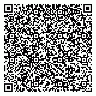vCard 79378004541