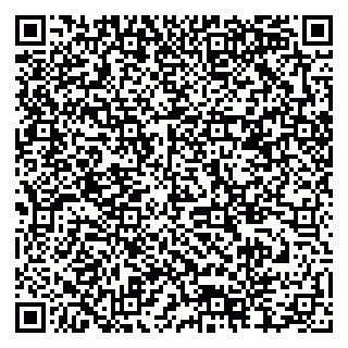 vCard 79378004581