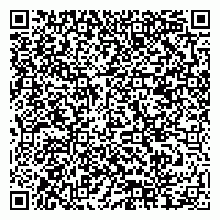 vCard 79378004585