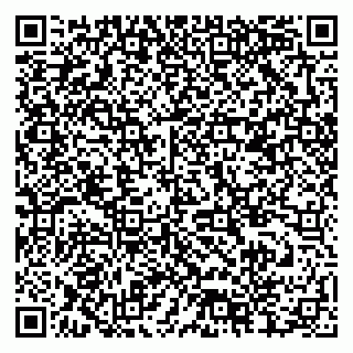 vCard 79378004589