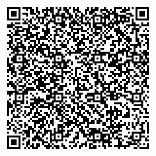 vCard 79378004603