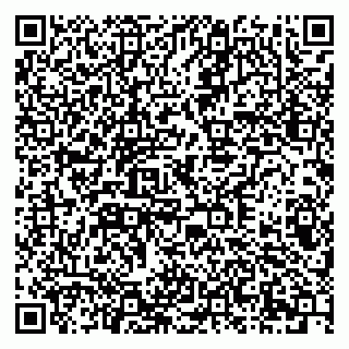 vCard 79378004611