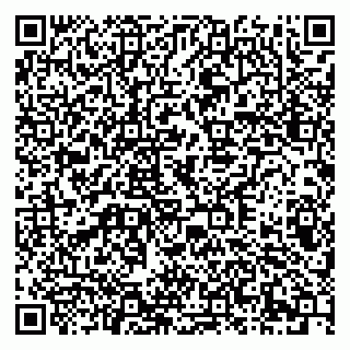 vCard 79378004615