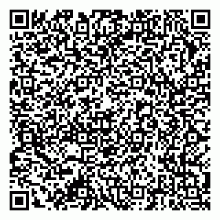 vCard 79378004733