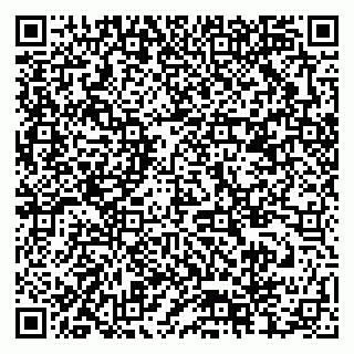 vCard 79378004929