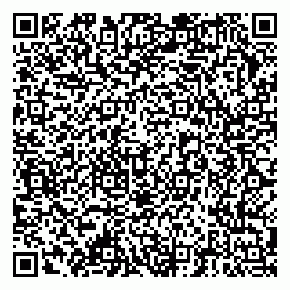 vCard 79378004933
