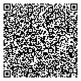 vCard 79378004941
