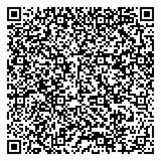 vCard 79378004981