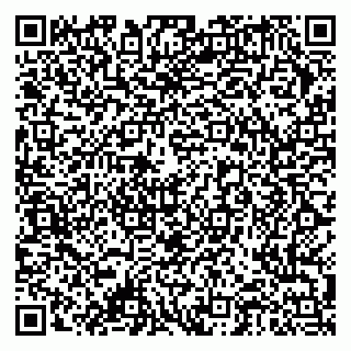 vCard 79378004989