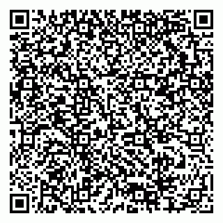 vCard 79378005039