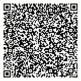 vCard 79378006027