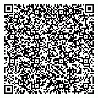 vCard 79378006065