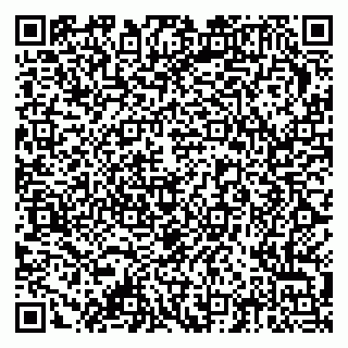 vCard 79378006073