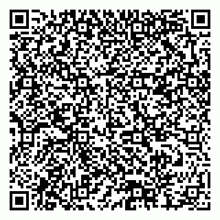 vCard 79378006081