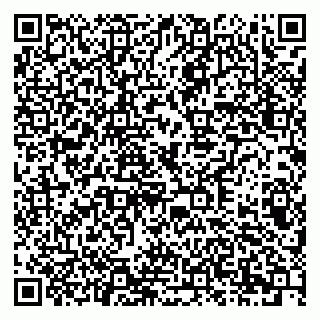 vCard 79378006131