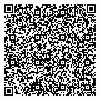 vCard 79378006173