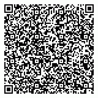 vCard 79378006195