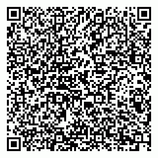 vCard 79378006211