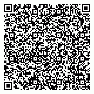 vCard 79378006213