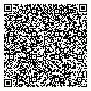vCard 79378006263