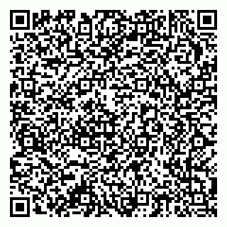 vCard 79378006305