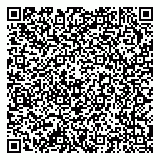 vCard 79378006307