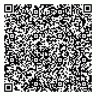 vCard 79378006317