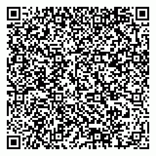 vCard 79378006381