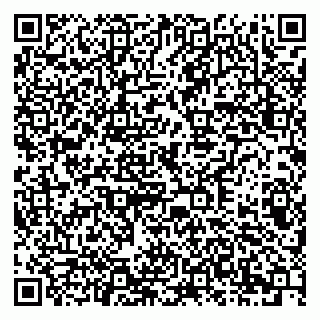 vCard 79378006881