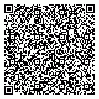 vCard 79378200011