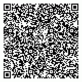 vCard 79378200041