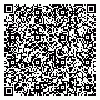 vCard 79378200099