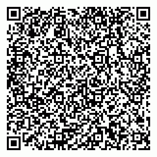 vCard 79378200128