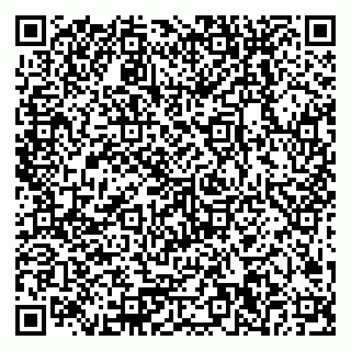 vCard 79378200131
