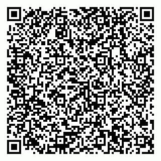 vCard 79378200199