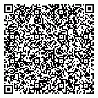 vCard 79378200209