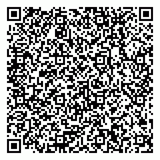 vCard 79378200211
