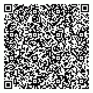 vCard 79378200221