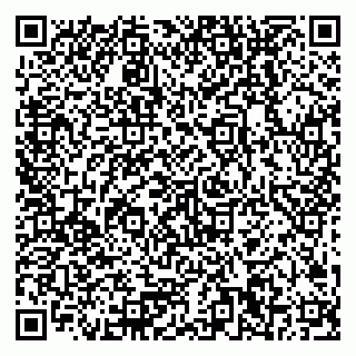 vCard 79378200289