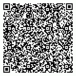 vCard 79378200295