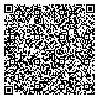 vCard 79378200301