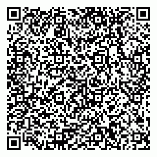 vCard 79378200303