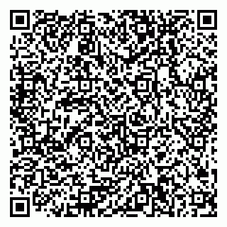 vCard 79378200305