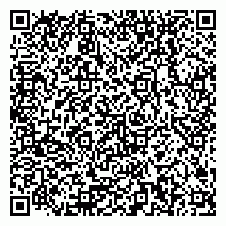 vCard 79378200308