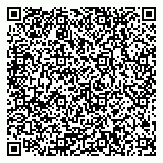 vCard 79378200313