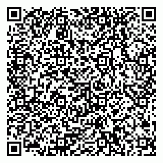 vCard 79378200317
